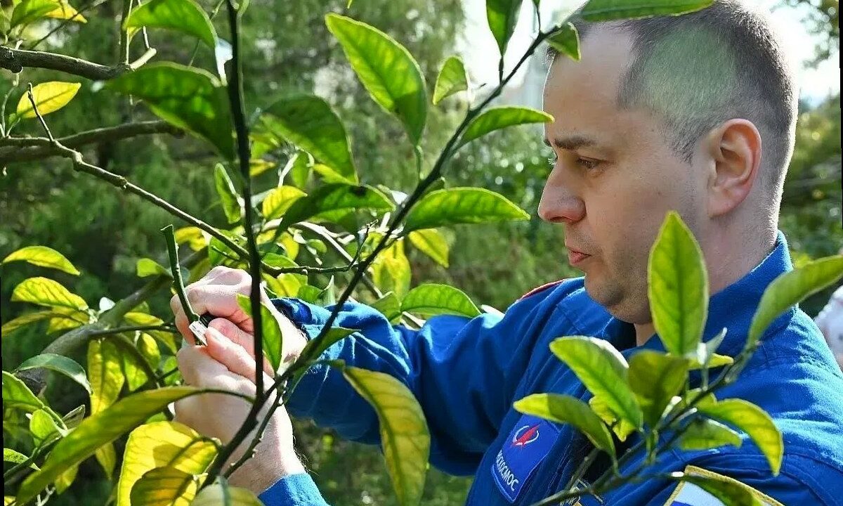 Космонавт Олег Платонов прошёл реабилитацию в Сочи и оставил «след» на