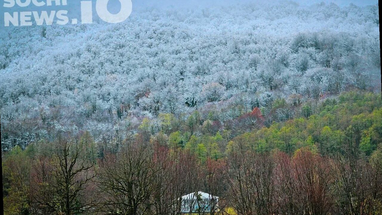 Туман и ливни: в Сочи ухудшится погода, в горах сохраняется лавиноопас