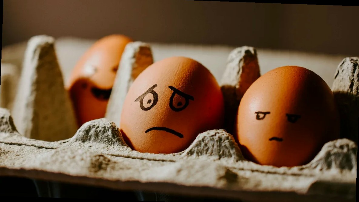 На Кубани подорожали яйца и овощи, а техника заметно подешевела