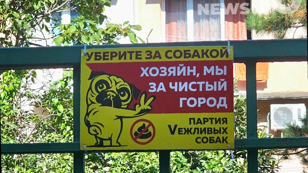 В России вводят новые стандарты для выгула собак